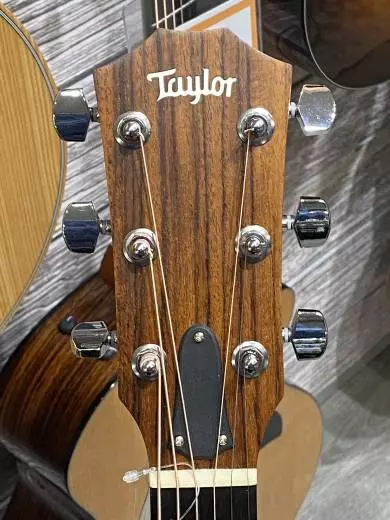 Taylor Guitars - 210CE 2008 2